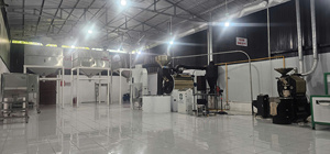 เมล็ดกาแฟอาราบิก้าดิบคุณภาพสูง 99% พร้อมสุกเกรดพรีเมียม รับผลิตแบบ OEM ODM จำหน่ายถุง 50 กก. โรงงานเวียดนาม คัดสรรคุณภาพสำหรับส่งออก คาเฟ่ - Product Image 6