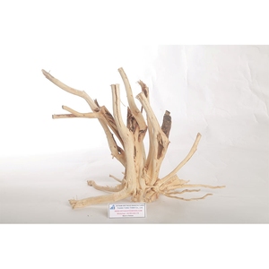 Decoración de Acuario de Madera Natural, Forma Irregular, Adorno Ecológico para Pecera, Hecho en Vietnam - Product Image 5