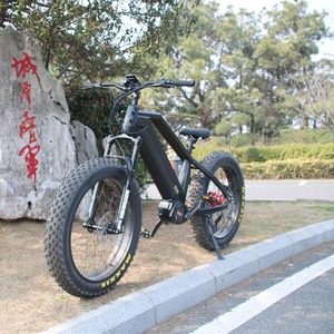 Bafang M620 Motor Central con Transmisión por Correa y Engranaje Interno 48V 1000W para Bicicleta Eléctrica con Neumático Ancho y Batería Integrada 48V1000W - Product Image 3