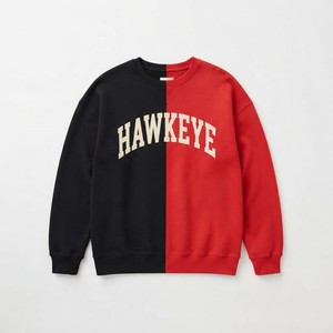 Sudadera Casual para Hombre HAWK EYE SPORTS, Nueva Moda, 350g, Hombros Caídos, Corte Regular, Cuello Alto, Estampado, Otoño - Product Image 5