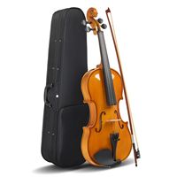 Full Size 4/4 Violin Set Adults Beginners Students Hard Case Bow Shoulder Rest Extra Strings Sordine Model D0100HPMH0W