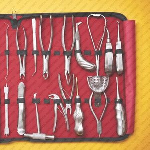 Ensemble d'instruments dentaires de haute qualité, kit d'outils orthodontiques, instruments chirurgicaux dentaires en acier inoxydable dans une valise - Product Image 5