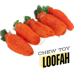 TAKIMEX Loofah Jouets à mâcher pour chien avec de nombreuses formes/Luffa naturel jouets à mâcher pour chien jouet sûr pour animal de compagnie fabriqué au Vietnam - Product Image 4