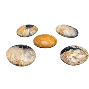 Pierre de palmier naturelle de qualité supérieure – Pierre de guérison polie à motif oculaire unique 45x35x15 mm - Product Image 6