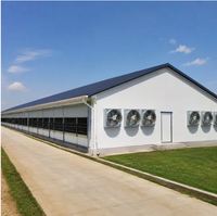 Bâtiment préfabriqué en acier galvanisé à faible coût QCF192 pour élevage de volailles / abri pour vaches / abri pour moutons