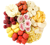 SJ-06H 6-8Kg Automatische Vriesdroogmachine Vacuüm Vriesdroger Voor Fruit Groentevlees Dierenvoeding Concurrerende Prijs