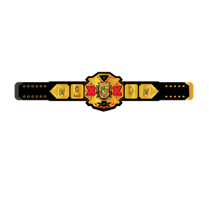 Custom Wrestling Championship Belt with Gold Plate - High Quality Durable Ideal for Events Collectors and Fans - Product Image 1