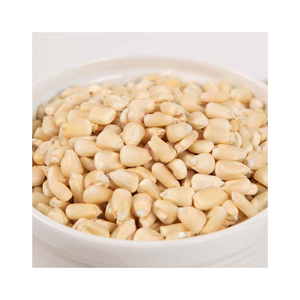 Maíz Blanco Premium al por Mayor en Oferta, Grado Alimenticio para Exportación, Calidad Superior, Listo para Enviar - Product Image 3