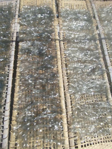 Fideos Instantáneos Secos Saludables de Alta Calidad, Marca Privada, Originales de Arroz Importado de Vietnam, IIGLOBAL FARM, Bolsa de 10 kg - Product Image 5