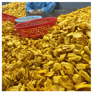 Jackfruit séché en vrac, fabriqué à partir de morceaux de jackfruit mûr, idéal pour les packs de collations, la vente au détail et comme garniture pour desserts, Vietnam. - Product Image 5