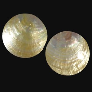 Assiette en nacre jaune pour servir le caviar et les desserts, et comme vaisselle de haute couture - Product Image 3