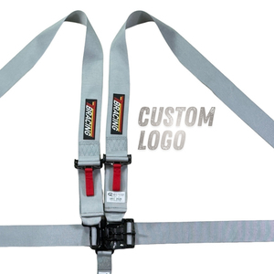 Harnais de course SF-502 à marque privée, certifié SFI 16.1, ceinture de sécurité à 5 points, logo couleur personnalisée, approvisionnement direct usine - Product Image 3