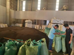 Condimento de especias bueno para la salud Pimienta negra de Vietnam Uso para alimentos Servicio OEM Embalaje en caja/bolsa de cartón-ANNA DO + 849821530 - Product Image 6