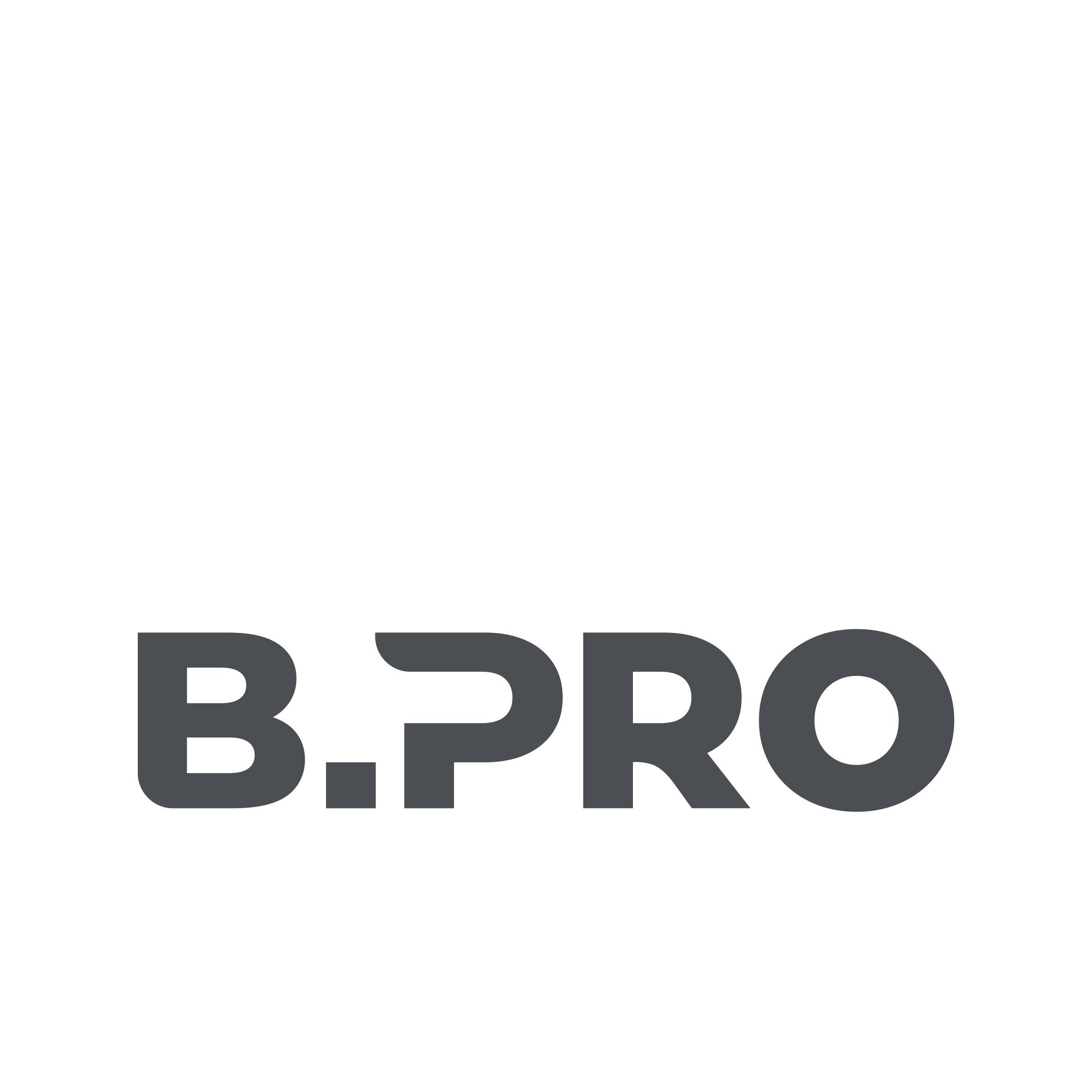 B.PRO GmbH logo