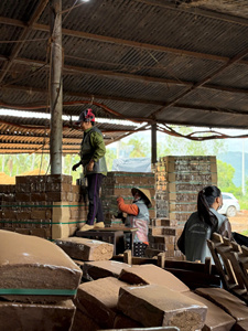 Bloc de tourbe de coco biodégradable de haute qualité pour l'hydroponie, la sericulture, l'horticulture et la culture en jardin |   Fabricant vietnamien - Product Image 6