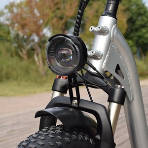 RaiderRunner-34F le <span class=keywords><strong>meilleur</strong></span> vélo Cargo électrique 20 pouces 750W 48V vélo électrique à gros pneus, vélo de ville électrique pour les familles - Product Image 5