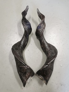 Goat Horn Pairs Natural Finished Eco-Friendly Rustic Halloween New High Quality for Decoration & Craft - Product Image 2