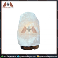 Lampe en sel rose de l'Himalaya 100% naturelle, sculptée à la main, emballée dans une boîte en carton, haute qualité, certifiée ISO, pour la décoration de la maison, fabricant