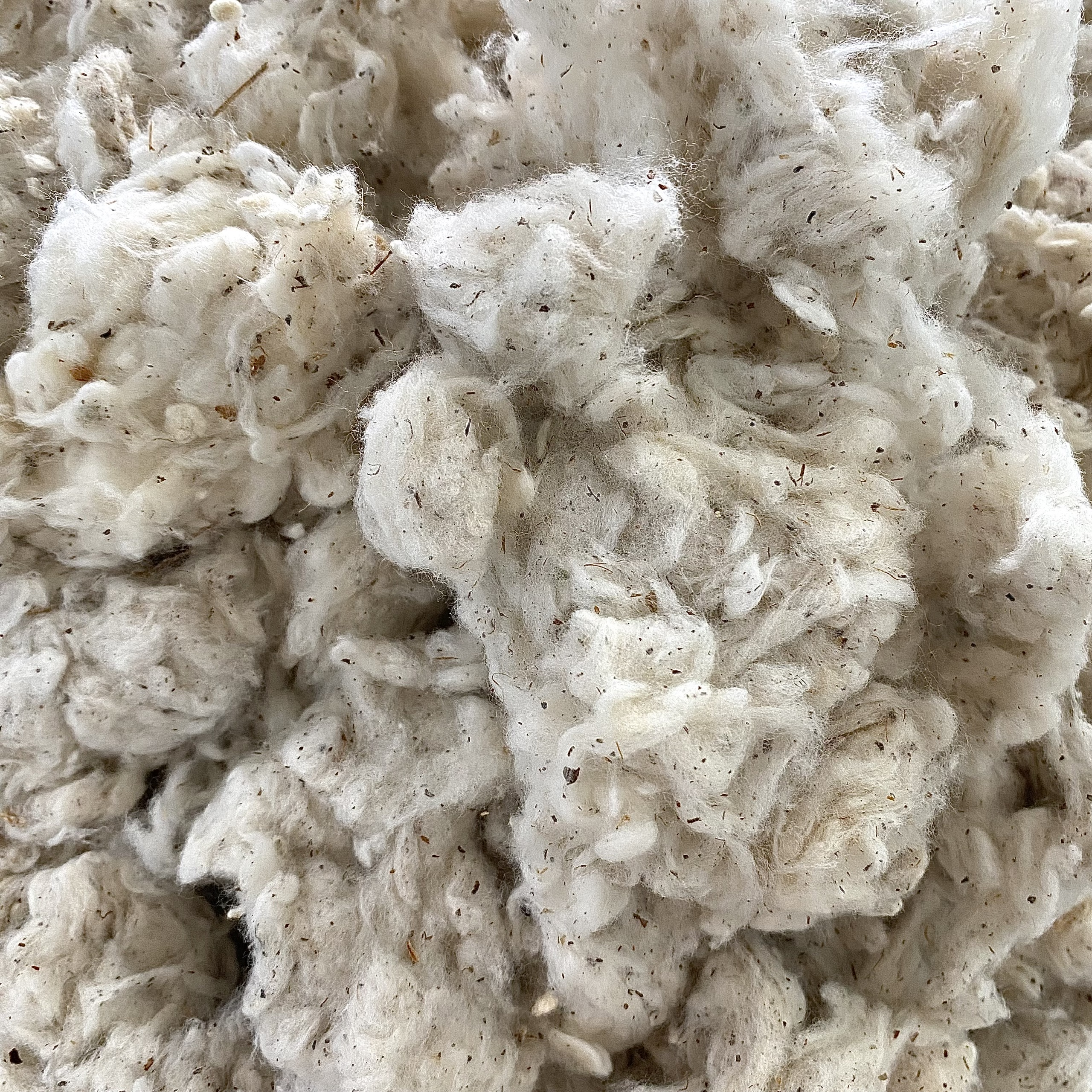 Linkerin Kapok Spinning Raw Eco-Friendly Minimum Quantity 23 Tons +/-10 Contact Kate
