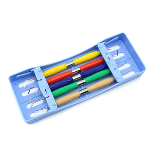 Kit de Restauración Dental Estética de 5 Piezas, Espátulas Dentales con Mango de Silicona para Reparación de Resina Compuesta - Product Image 3