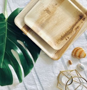 Vaisselle durable en feuilles de palmier pour hôtels et traiteurs, assiettes jetables carrées de 8 pouces, pour la restauration rapide et les collations - Product Image 1