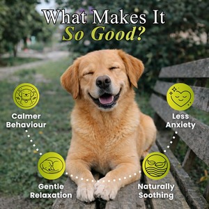 OEM ODM Golosinas Suaves Calmantes para Perros, Alivio de la Ansiedad y el Estrés, Apoyo para la Relajación, Comportamiento Tranquilo, Suplemento Nutricional para Mascotas, Marca Privada - Product Image 5