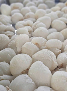 Lychees surgelés IQF, export Vietnam, OEM ODM disponible - Product Image 5