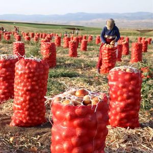 ถุงตาข่ายขนาดใหญ่แบบมีเชือกผูก ใช้ซ้ำได้ สำหรับเก็บผักผลไม้สด เช่น มันฝรั่ง ส้ม ปลาตัวเล็ก ข้าวโพด - Product Image 1