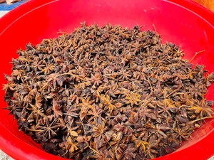 Anís estrellado seco de origen vietnamita, vainas enteras, bolsa de 6 onzas, suministro directo de fábrica para la industria alimentaria - Product Image 2