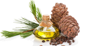 Cedarwood Essential <b>Oil</b> Pure Natural Aromatherapy Skin Care Hair Care Massage <b>Diffuser</b> Use Brightening All Skin Types Bulk - Product Image 3