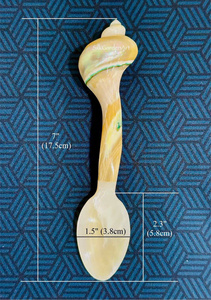 Juego de Cuchara y Tenedor de Concha Marina Natural, Vajilla Ecológica Hecha a Mano para Decoración del Hogar - Product Image 6