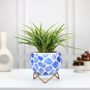 Leafy Blue Petite Tabletop Planter <b>Pots</b> Decorative Indoor Flower Containers for Succulents Cacti <b>Small</b> Green <b>Plants</b> Home Office - Product Image 1