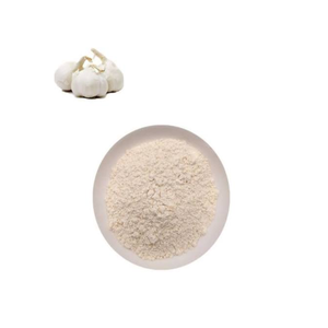 Poudre d'ail pure, naturelle, déshydratée, épice de haute qualité, qualité alimentaire, vente en gros, distribution en vrac - Product Image 6
