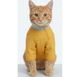 Ropa Deportiva Casual para Gatos, Chándal Moderno de Poliéster Ecológico para Caminatas Diarias en Invierno - Product Image 1