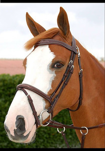 บังเหียนม้าอเนกประสงค์แบบมีเบาะหนังสีน้ำตาลพร้อมสายบังเหียน - Product Image 3