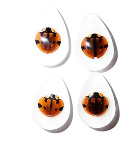 Cabochon Six Star Ladybird Beetle Pear Shape cut <b>top</b> 25x17 mm White Flat Bottom for Crafts and Jewelry Making - Product Image 5