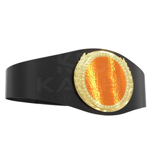 Cinturón de Campeonato de Lucha Libre Personalizado con Color Único, Correa Resistente de Cintura Alta con Placas Estampadas Estándar en mm - Product Image 2