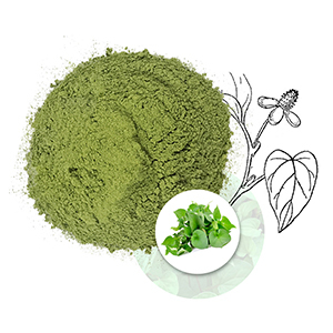 POLVO DE MENTA DE PESCADO DE GRADO COSMÉTICO |   POLVO HERBAL VEGANO VERDE PURO PARA MASCARAS FACIALES ANTI-ACNÉ - Product Image 5