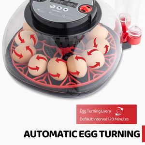 Incubatrice Automatica per Uova con Controllo Temperatura/Umidità e Illuminatore LED per Uova di Gallina (PC/PP) - Product Image 5