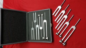 MayoMed - Juego de 5 diapasones médicos de alta calidad, los más vendidos, para diagnóstico médico, quirúrgico, quiropráctico y fisioterapéutico - Product Image 2