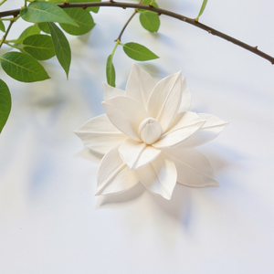 ดอกไม้โซล่าทำมือจากไม้ดอกบัวที่ยั่งยืน ขนาด 8.5 ซม. พร้อมก้านไฟเบอร์จากพืชเซสบานีอา - Product Image 3