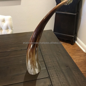 Soporte de pared de cuerno de vaca largo natural-Cuerno pulido a mano de 24 "para decoración de granja y cabina - Product Image 5