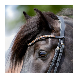 Nouveau Design Tendance 2026 – Frontalier d'Équitation en Cuir Véritable avec Cristaux Variés et Confortables – Horsekraft HK-BB052 - Product Image 1