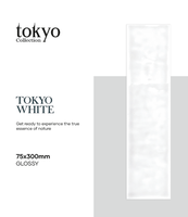 Carreaux muraux en céramique de qualité supérieure Tokyo White |   Design élégant en briques blanches |   Finition brillante |   75×300 mm