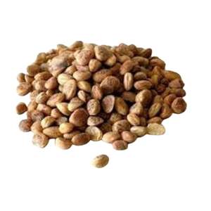 Aora grado óptimo para la salud Grado alimenticio Chironji CO2 Extracto de plantas Vitamina activa Cera de hierbas Lata de extracción de fluidos súper críticos - Product Image 2