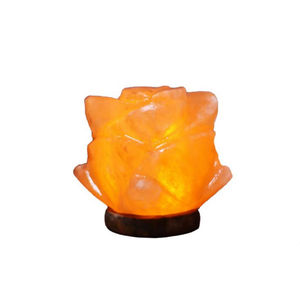 Lampe de sel de l'Himalaya USB à bas prix, de haute qualité, gravée sur mesure, légère, décoration Feng Shui pour la maison, base en bois - Product Image 6