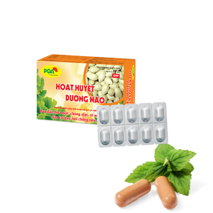 Cápsulas Herbales para la Circulación Cerebral y la Memoria en Adultos, Promueven un Flujo Sanguíneo Saludable, No Aptas para Mujeres Embarazadas, de Vietnam - Product Image 4