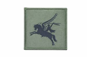 Patch tactique brodé 16 Air Assault Style DZ TRF Olive avec fixation auto-agrippante - Product Image 3
