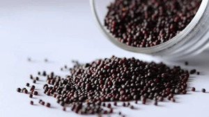 Super Spices Global Graines de moutarde noire séchées brutes du Gujarat, Inde - Paquet de 1 kg pour usage alimentaire et culinaire - Product Image 3