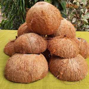 Cáscara de Coco Premium, Cortada a la Mitad y Triturada, Exportación a Granel de Vietnam para Carbón Activado, Biomasa y Combustible - Sra. Tarina - Product Image 2